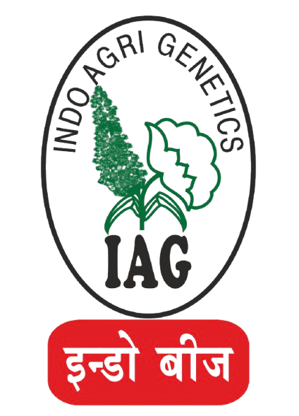 indoagrigenetics.com