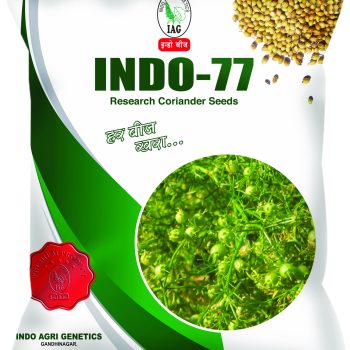 indo coriander