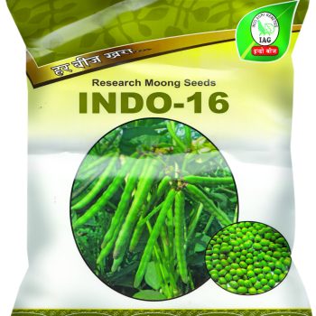 indo moong