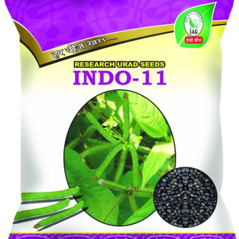 indo urad