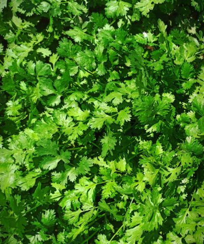 peaky-frames-9xzw4l722jc-unsplash